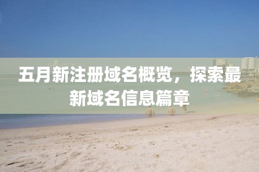 五月新注册域名概览，探索最新域名信息篇章
