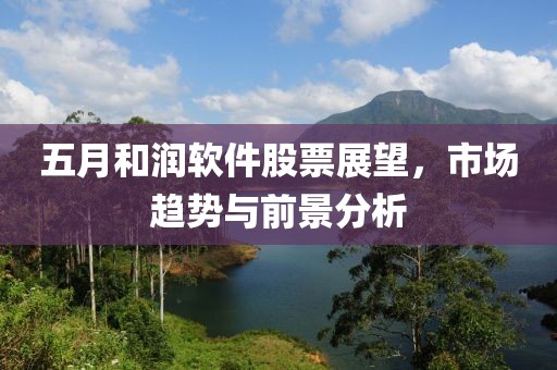 五月和润软件股票展望，市场趋势与前景分析