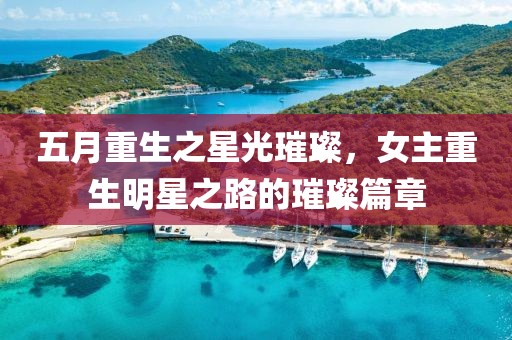 五月重生之星光璀璨，女主重生明星之路的璀璨篇章