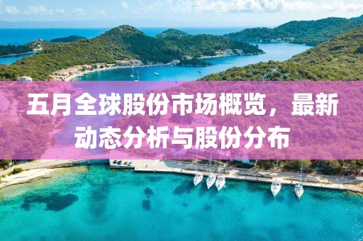 五月全球股份市场概览，最新动态分析与股份分布