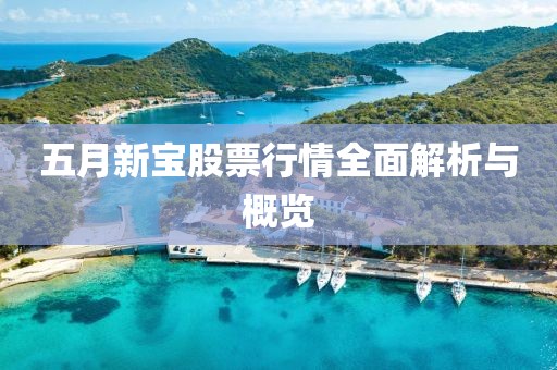 五月新宝股票行情全面解析与概览