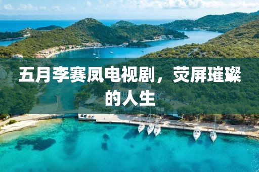 五月李赛凤电视剧，荧屏璀璨的人生