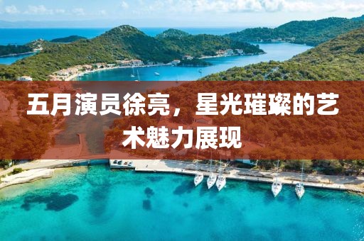 五月演员徐亮，星光璀璨的艺术魅力展现
