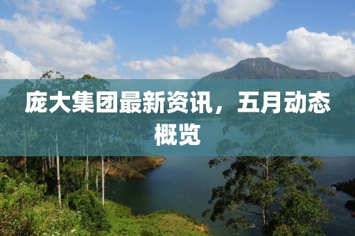 庞大集团最新资讯，五月动态概览