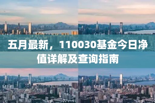 五月最新，110030基金今日净值详解及查询指南