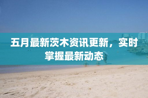 五月最新茨木资讯更新，实时掌握最新动态
