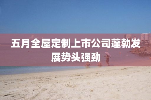 五月全屋定制上市公司蓬勃发展势头强劲
