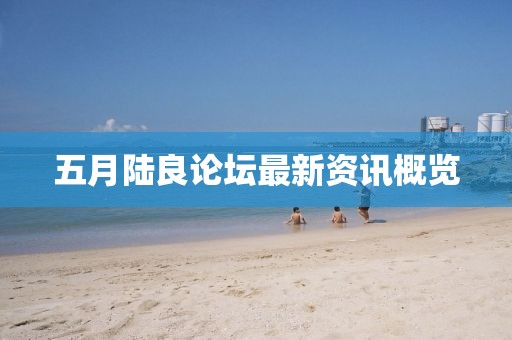 五月陆良论坛最新资讯概览