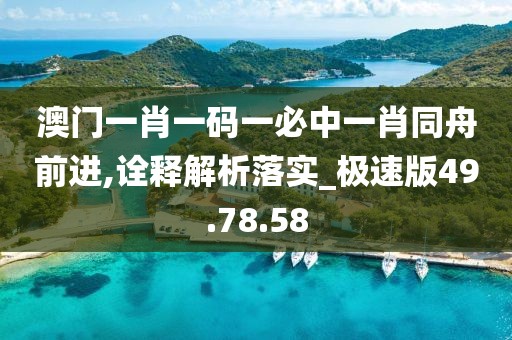 澳门一肖一码一必中一肖同舟前进,诠释解析落实_极速版49.78.58