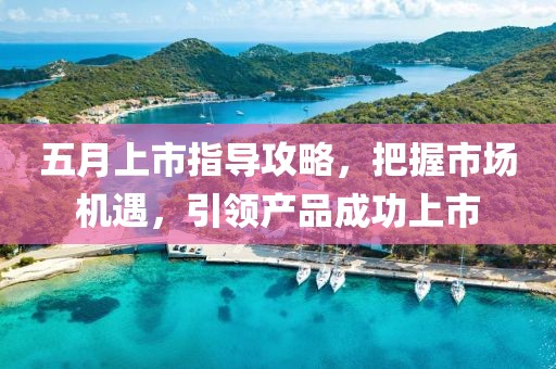 五月上市指导攻略，把握市场机遇，引领产品成功上市