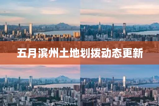 五月滨州土地划拨动态更新
