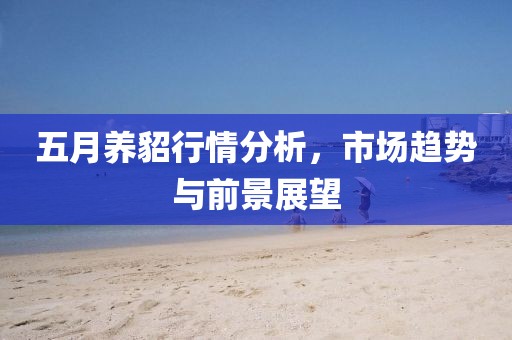 五月养貂行情分析，市场趋势与前景展望
