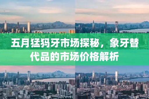 五月猛犸牙市场探秘，象牙替代品的市场价格解析