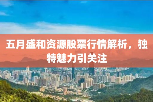 五月盛和资源股票行情解析，独特魅力引关注