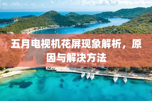 五月电视机花屏现象解析，原因与解决方法
