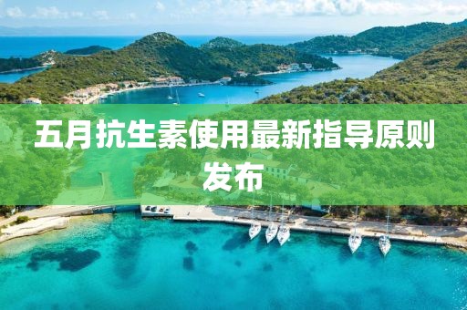 五月抗生素使用最新指导原则发布