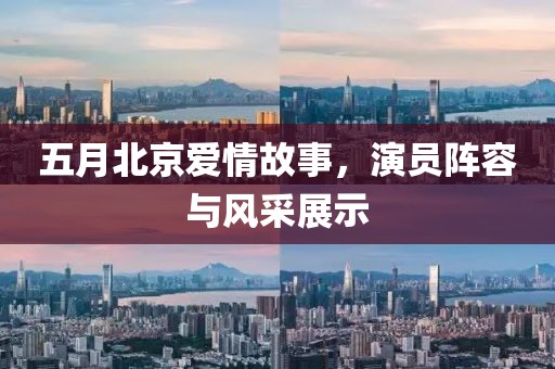 回转马达 第5页