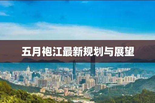 五月袍江最新规划与展望