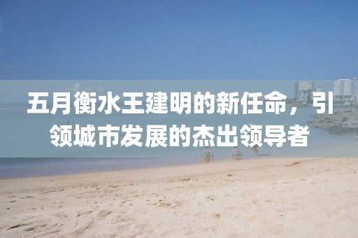 五月衡水王建明的新任命，引领城市发展的杰出领导者
