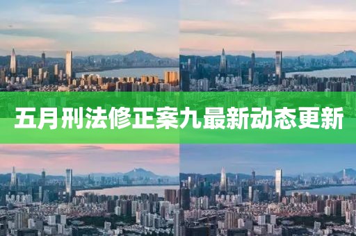 五月刑法修正案九最新动态更新