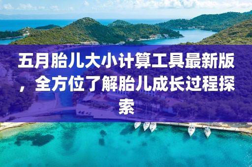五月胎儿大小计算工具最新版，全方位了解胎儿成长过程探索
