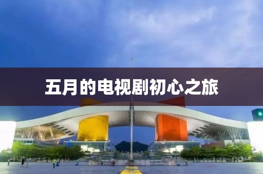 五月的电视剧初心之旅