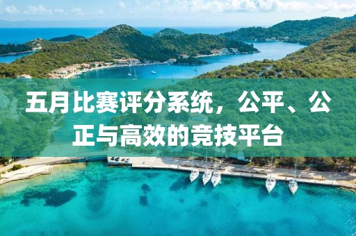 五月比赛评分系统，公平、公正与高效的竞技平台