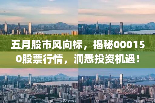 五月股市风向标，揭秘000150股票行情，洞悉投资机遇！