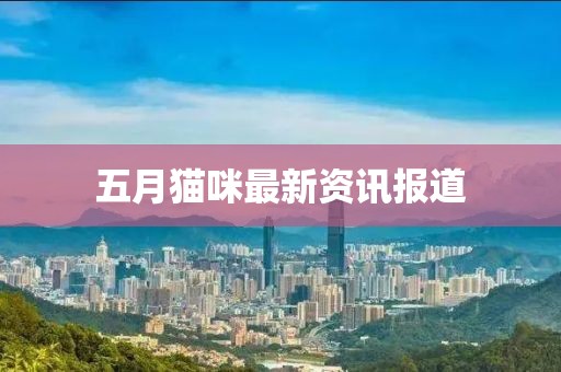 五月猫咪最新资讯报道