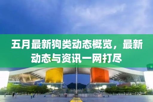 五月最新狗类动态概览，最新动态与资讯一网打尽