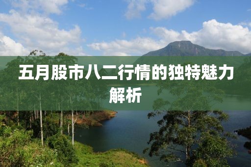 五月股市八二行情的独特魅力解析