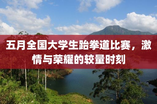 五月全国大学生跆拳道比赛，激情与荣耀的较量时刻