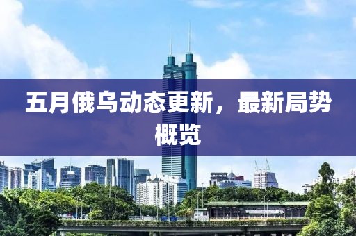 五月俄乌动态更新，最新局势概览