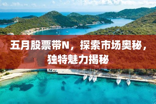 五月股票带N，探索市场奥秘，独特魅力揭秘