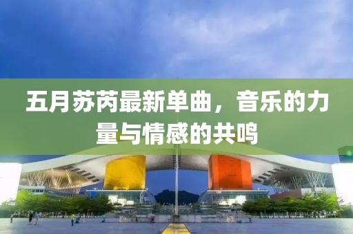 五月苏芮最新单曲，音乐的力量与情感的共鸣