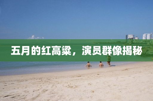 五月的红高粱，演员群像揭秘