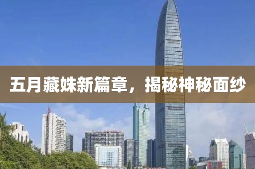 以往