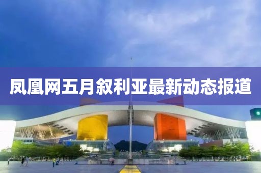 凤凰网五月叙利亚最新动态报道