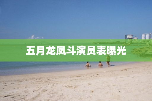 五月龙凤斗演员表曝光
