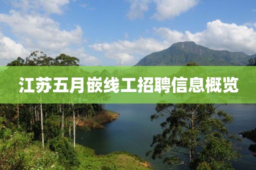 江苏五月嵌线工招聘信息概览