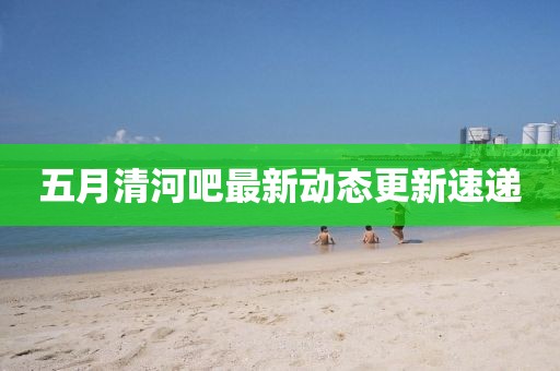 五月清河吧最新动态更新速递