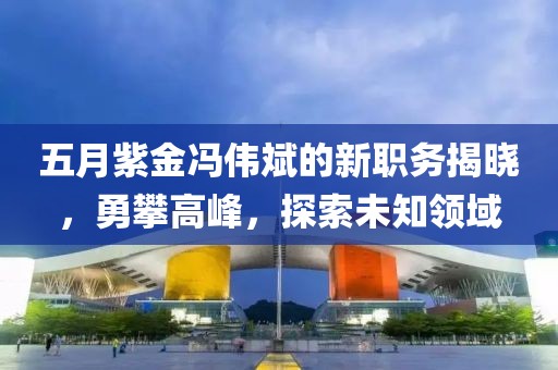 五月紫金冯伟斌的新职务揭晓，勇攀高峰，探索未知领域
