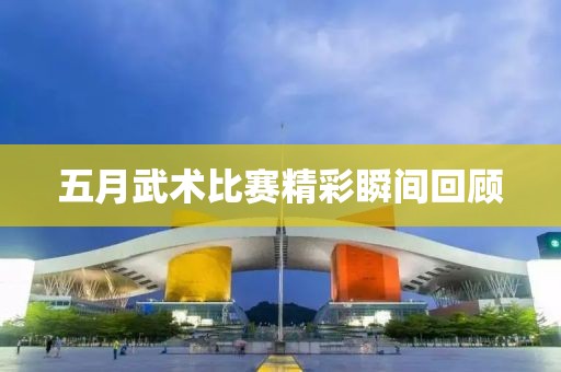 五月武术比赛精彩瞬间回顾