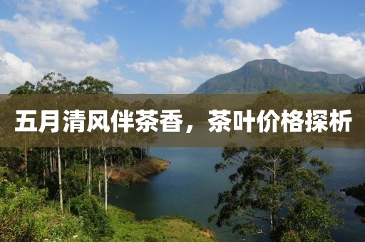 五月清风伴茶香，茶叶价格探析