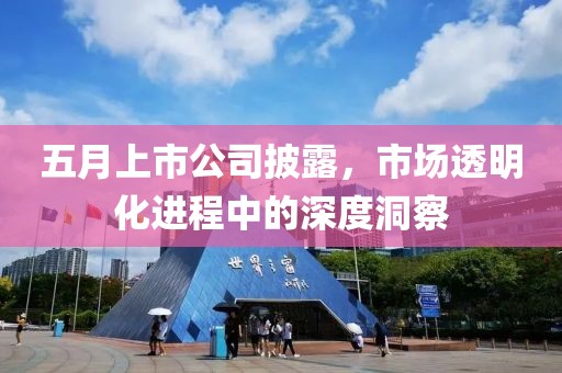 五月上市公司披露，市场透明化进程中的深度洞察