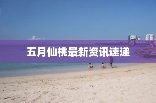 五月仙桃最新资讯速递