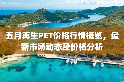五月再生PET价格行情概览，最新市场动态及价格分析
