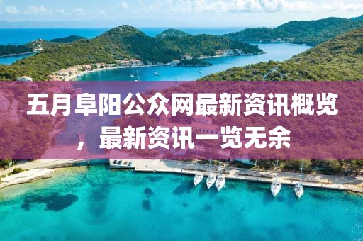 五月阜阳公众网最新资讯概览，最新资讯一览无余