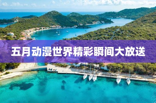 五月动漫世界精彩瞬间大放送