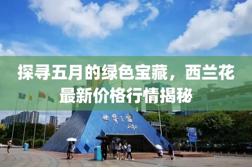 探寻五月的绿色宝藏，西兰花最新价格行情揭秘